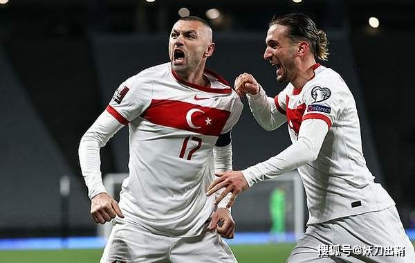 「瑞士vs土耳其」（瑞士VS土耳其 051是什么意思）